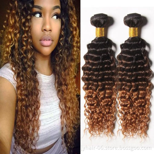 ELI Wholesale Malaysian Ombre Human Hair Bundles With Closure 27 30 Color Remy Human Hair Weave Double Drawn Hair Extensions